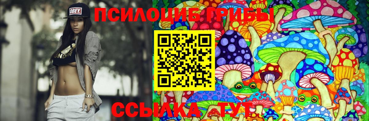 закладки  Псилоцибиновые грибы прущие грибы  Вход с VPN  Сальск 